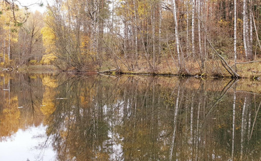 53_Antalieptės Stovyklavietė  (2).jpg